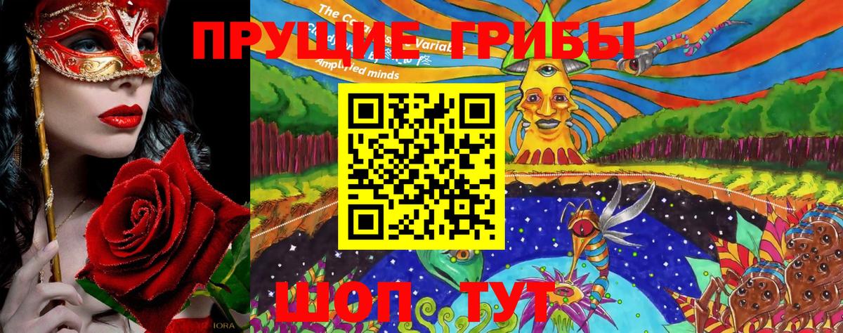 Брянск  Псилоцибиновые грибы Magic Shrooms  Псилоцибиновые грибы Cubensis  Вход с VPN 